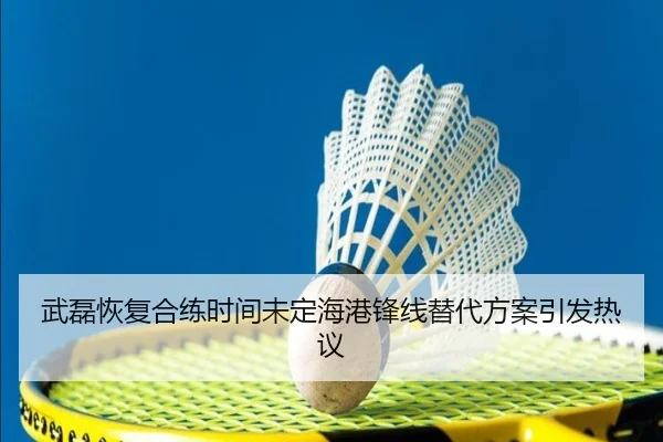 武磊恢复合练时间未定海港锋线替代方案引发热议